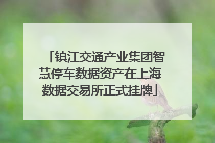 镇江交通产业集团智慧停车数据资产在上海数据交易所正式挂牌