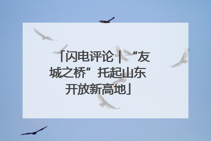 闪电评论｜“友城之桥”托起山东开放新高地