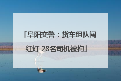 阜阳交警：货车组队闯红灯 28名司机被拘