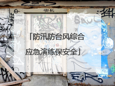 防汛防台风综合应急演练保安全