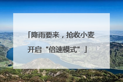 降雨要来，抢收小麦开启“倍速模式”