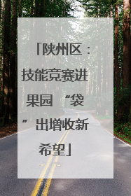 陕州区：技能竞赛进果园 “袋”出增收新希望