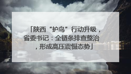 陕西“护鸟”行动升级，省委书记：全链条排查整治，形成高压震慑态势