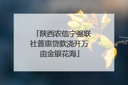 陕西农信宁强联社普惠贷款浇开万亩金银花海