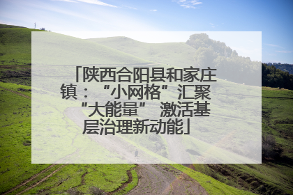 陕西合阳县和家庄镇：“小网格”汇聚“大能量” 激活基层治理新动能