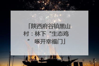 陕西府谷镇黑山村：林下“生态鸡” 啄开幸福门
