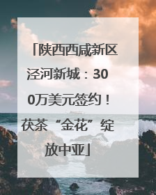 陕西西咸新区泾河新城：300万美元签约！茯茶“金花”绽放中亚