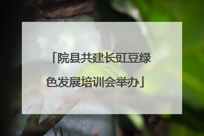 院县共建长豇豆绿色发展培训会举办