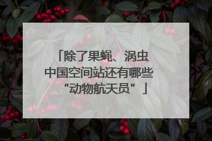 除了果蝇、涡虫 中国空间站还有哪些“动物航天员”