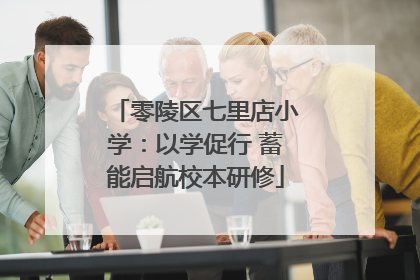 零陵区七里店小学：以学促行 蓄能启航校本研修