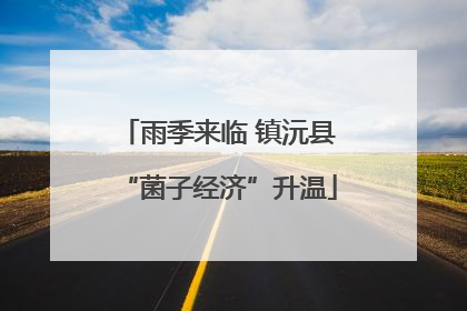 雨季来临 镇沅县“菌子经济”升温