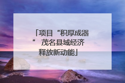 项目“积厚成器” 茂名县域经济释放新动能