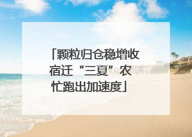 颗粒归仓稳增收 宿迁“三夏”农忙跑出加速度