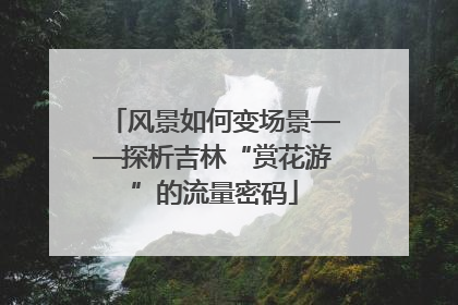 风景如何变场景——探析吉林“赏花游”的流量密码