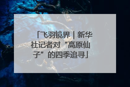 飞羽镜界｜新华社记者对“高原仙子”的四季追寻