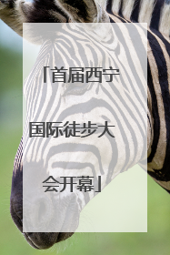 首届西宁国际徒步大会开幕