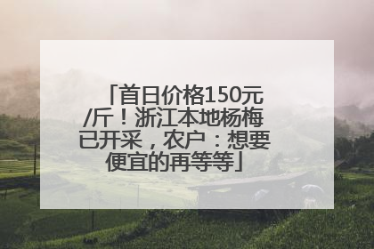 首日价格150元/斤！浙江本地杨梅已开采，农户：想要便宜的再等等