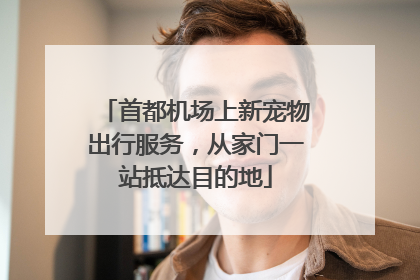 首都机场上新宠物出行服务，从家门一站抵达目的地