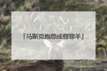 马斯克抱怨成替罪羊