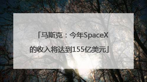 马斯克：今年SpaceX的收入将达到155亿美元