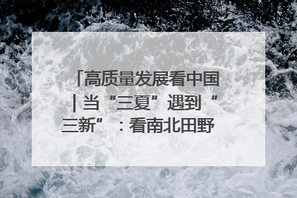 高质量发展看中国｜当“三夏”遇到“三新”：看南北田野里的科技共生记