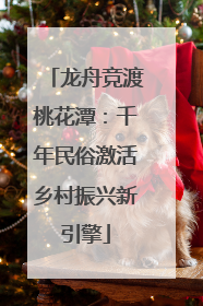 龙舟竞渡桃花潭：千年民俗激活乡村振兴新引擎