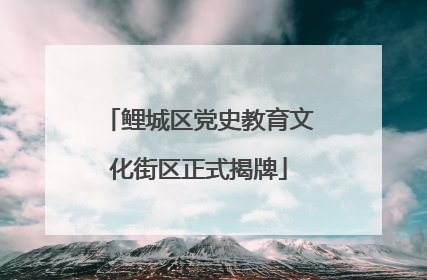 鲤城区党史教育文化街区正式揭牌