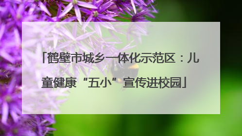 鹤壁市城乡一体化示范区：儿童健康“五小”宣传进校园