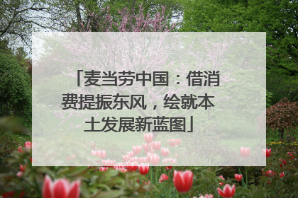 麦当劳中国：借消费提振东风，绘就本土发展新蓝图