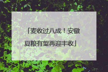 麦收过八成！安徽夏粮有望再迎丰收