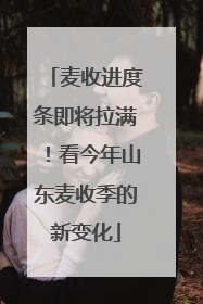 麦收进度条即将拉满！看今年山东麦收季的新变化