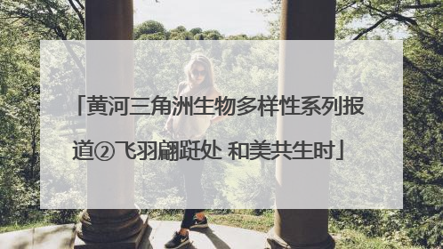 黄河三角洲生物多样性系列报道②飞羽翩跹处 和美共生时