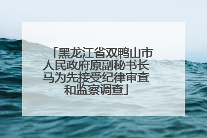 黑龙江省双鸭山市人民政府原副秘书长马为先接受纪律审查和监察调查