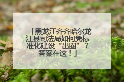 黑龙江齐齐哈尔龙江县司法局如何凭标准化建设“出圈”？答案在这！