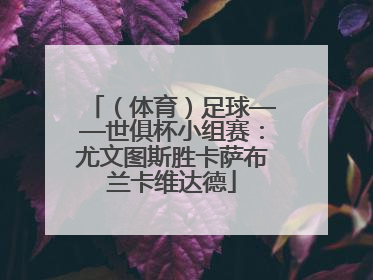 （体育）足球——世俱杯小组赛：尤文图斯胜卡萨布兰卡维达德