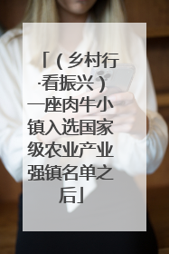 （乡村行·看振兴）一座肉牛小镇入选国家级农业产业强镇名单之后