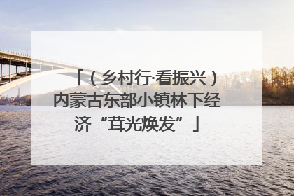 （乡村行·看振兴）内蒙古东部小镇林下经济“茸光焕发”