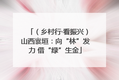 （乡村行·看振兴）山西襄垣：向“林”发力 借“绿”生金