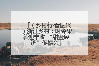 （乡村行·看振兴）浙江乡村：时令果蔬迎丰收 “甜蜜经济”促振兴