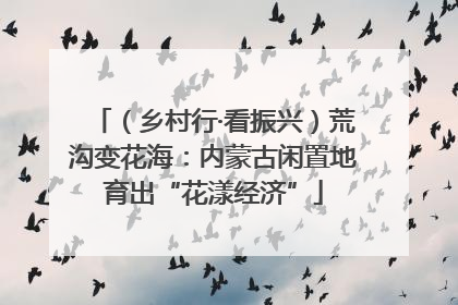 （乡村行·看振兴）荒沟变花海：内蒙古闲置地育出“花漾经济”