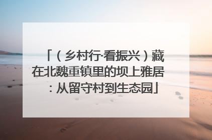 （乡村行·看振兴）藏在北魏重镇里的坝上雅居：从留守村到生态园