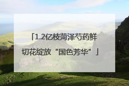 1.2亿枝菏泽芍药鲜切花绽放“国色芳华”