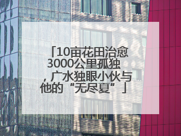 10亩花田治愈3000公里孤独，广水独眼小伙与他的“无尽夏”