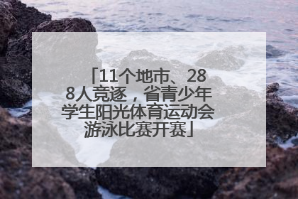 11个地市、288人竞逐，省青少年学生阳光体育运动会游泳比赛开赛