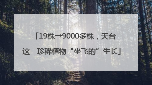 19株→9000多株，天台这一珍稀植物“坐飞的”生长