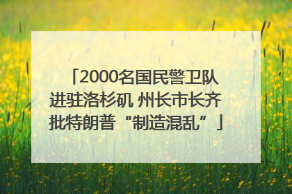 2000名国民警卫队进驻洛杉矶 州长市长齐批特朗普“制造混乱”