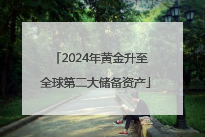 2024年黄金升至全球第二大储备资产