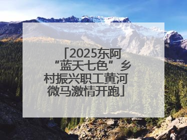 2025东阿“蓝天七色”乡村振兴职工黄河微马激情开跑