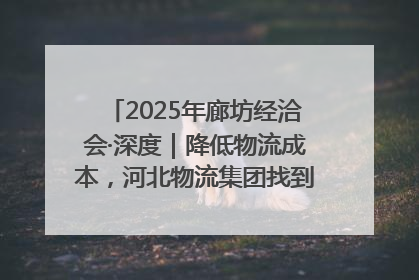 2025年廊坊经洽会·深度｜降低物流成本，河北物流集团找到一把“金钥匙”