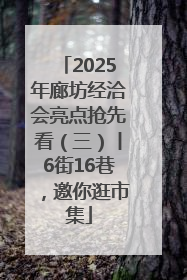 2025年廊坊经洽会亮点抢先看（三）丨6街16巷，邀你逛市集